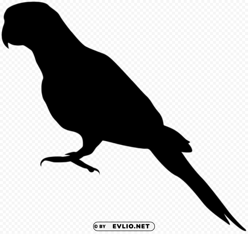 parrot silhouette Clear PNG pictures bundle