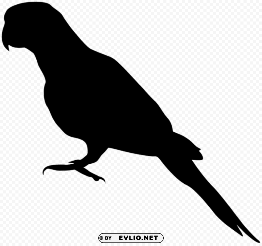 Transparent parrot silhouette Clear PNG pictures bundle PNG Image - ID 5d7d6a9a