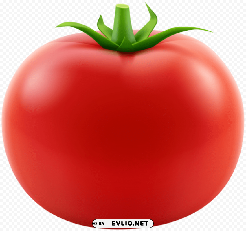red tomato transparent PNG for design