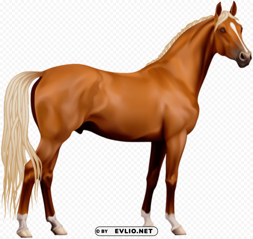 transparent horse PNG for business use
