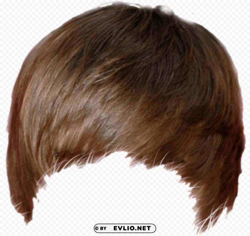 hair HighQuality Transparent PNG Isolated Graphic Design png - Free PNG Images ID 885ed3a0