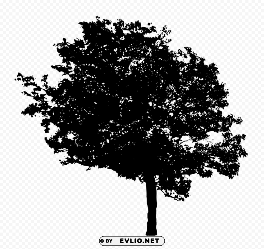 Black Tree PNG graphics with clear alpha channel collection