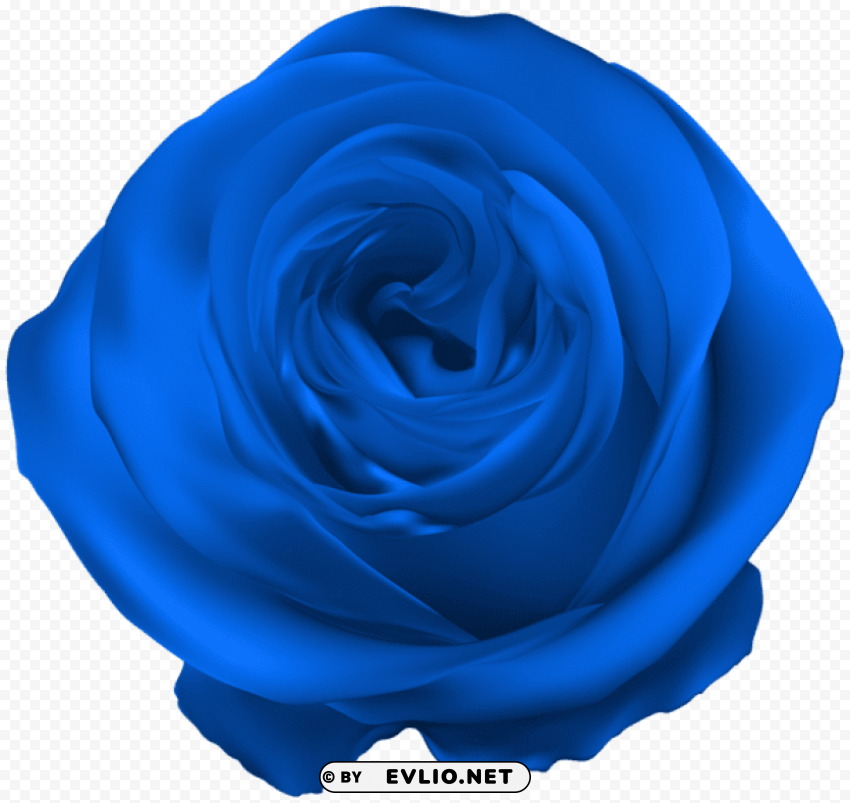 PNG image of blue rose PNG images without restrictions with a clear background - Image ID 25120925