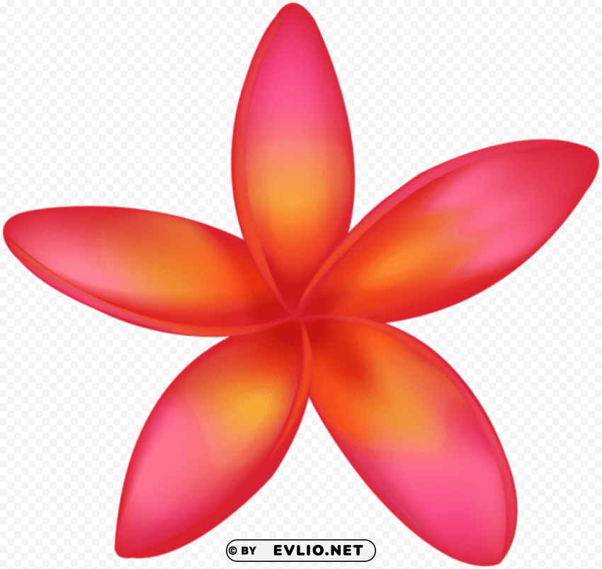 exotic flower Transparent Background PNG Isolated Design