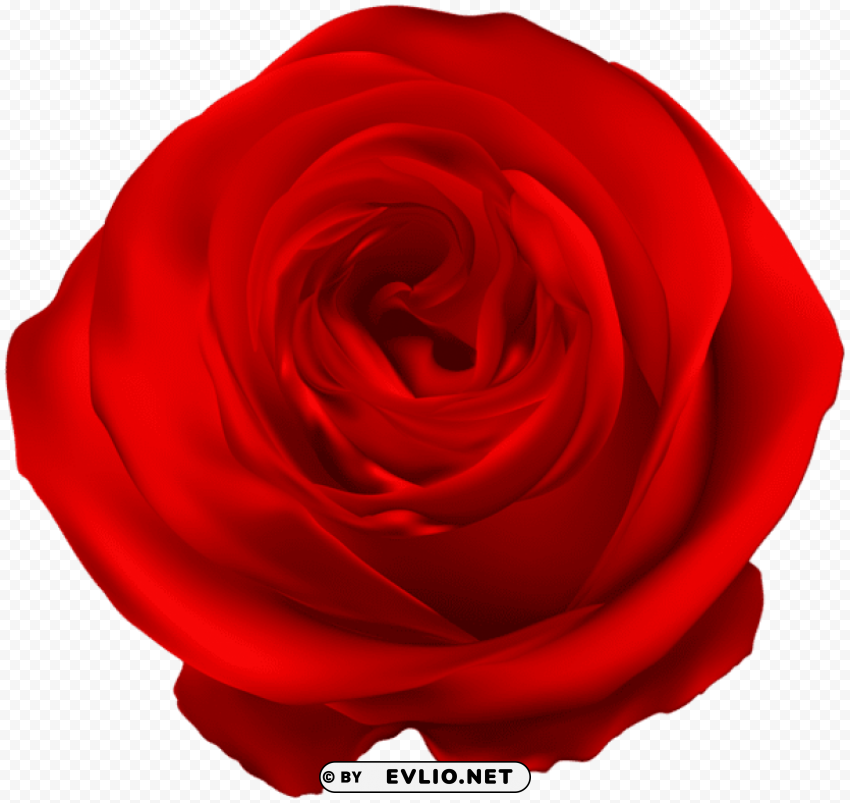 PNG image of red rose PNG images with no background free download with a clear background - Image ID f102c8a2