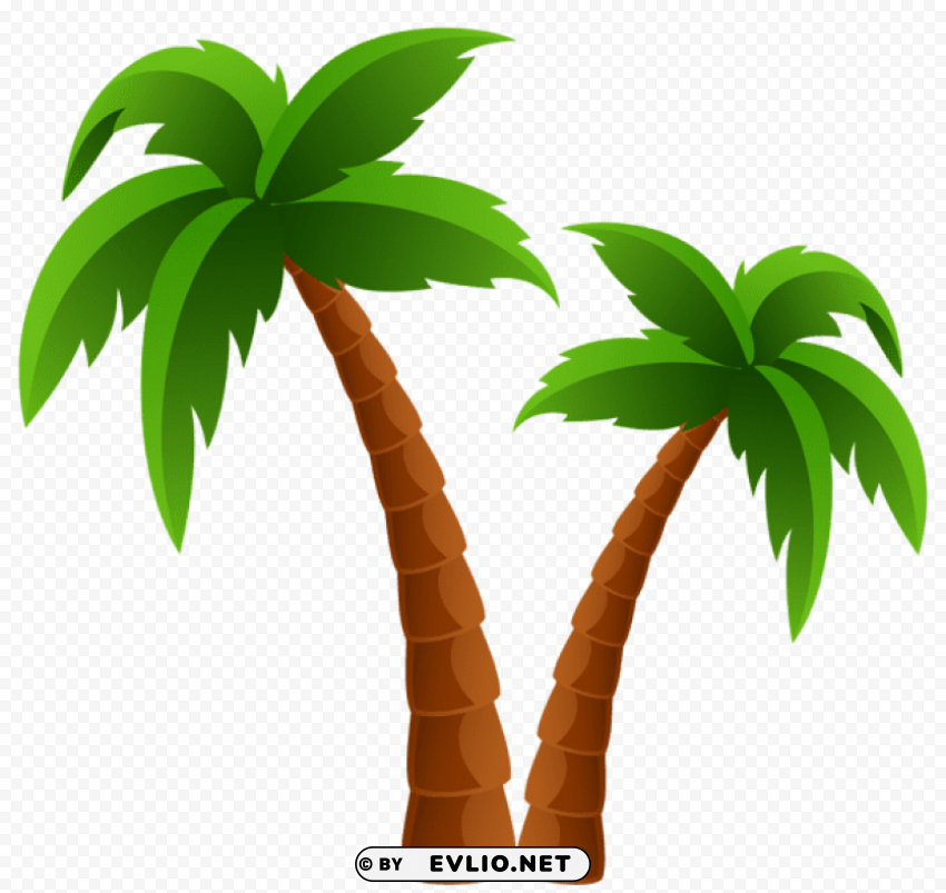 Two Palm Trees Isolated Element In Transparent PNG