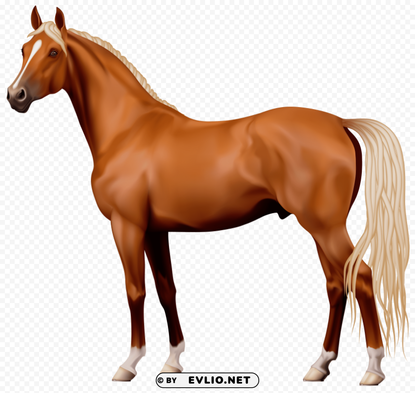 brown horse PNG Graphic with Transparency Isolation