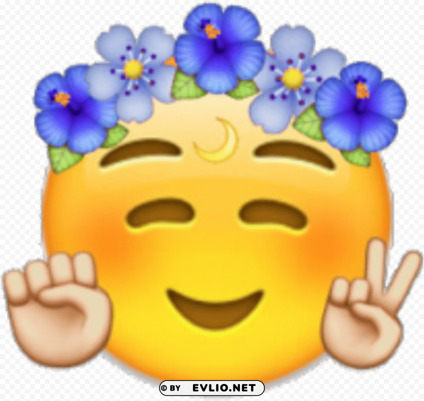 coachella emoji PNG Image with Transparent Isolated Design