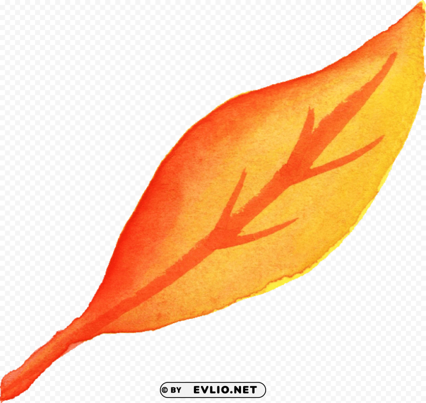leaf watercolor fall Isolated Graphic on Clear Transparent PNG