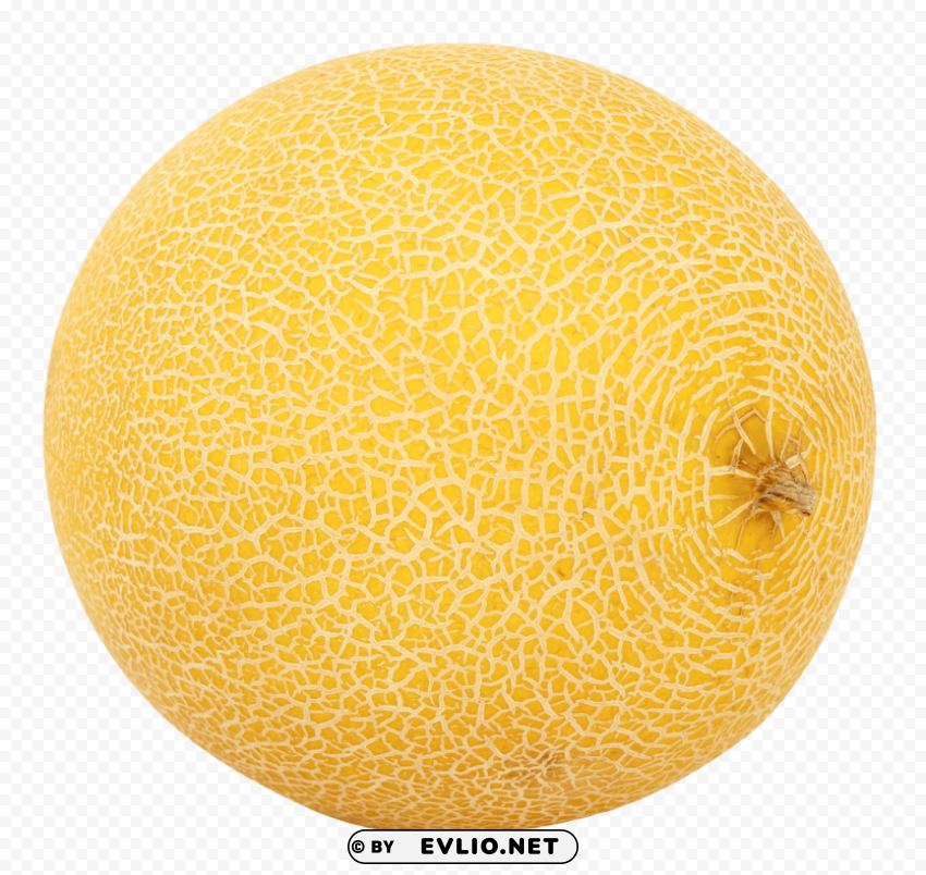 melon PNG images with no limitations