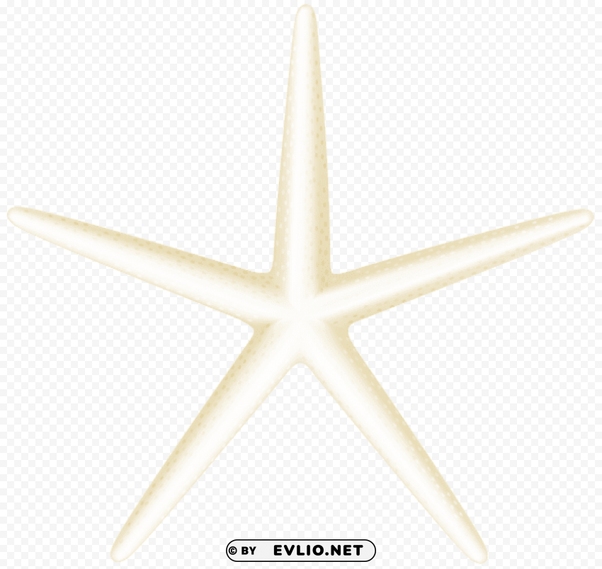starfish Transparent Background Isolation in HighQuality PNG