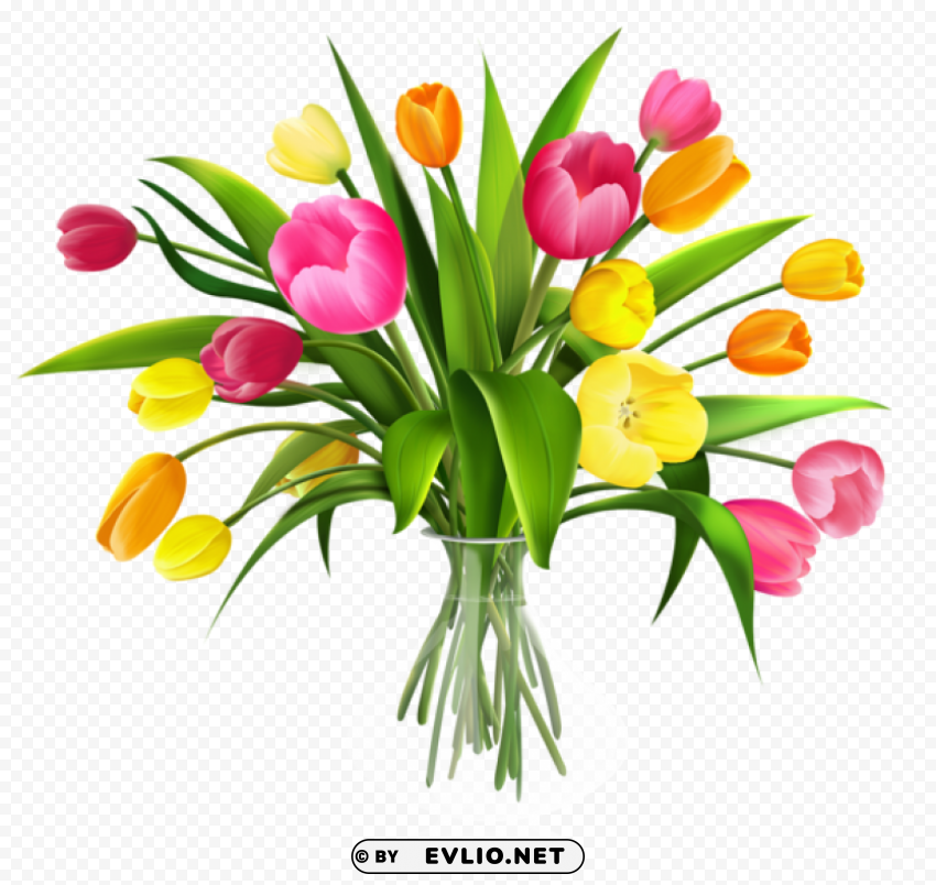 vase with tulips Transparent PNG Isolated Illustration