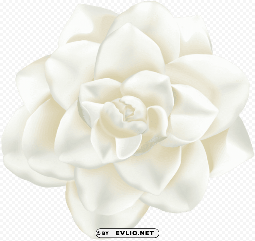 PNG image of white flower PNG high resolution free with a clear background - Image ID fac2f38b