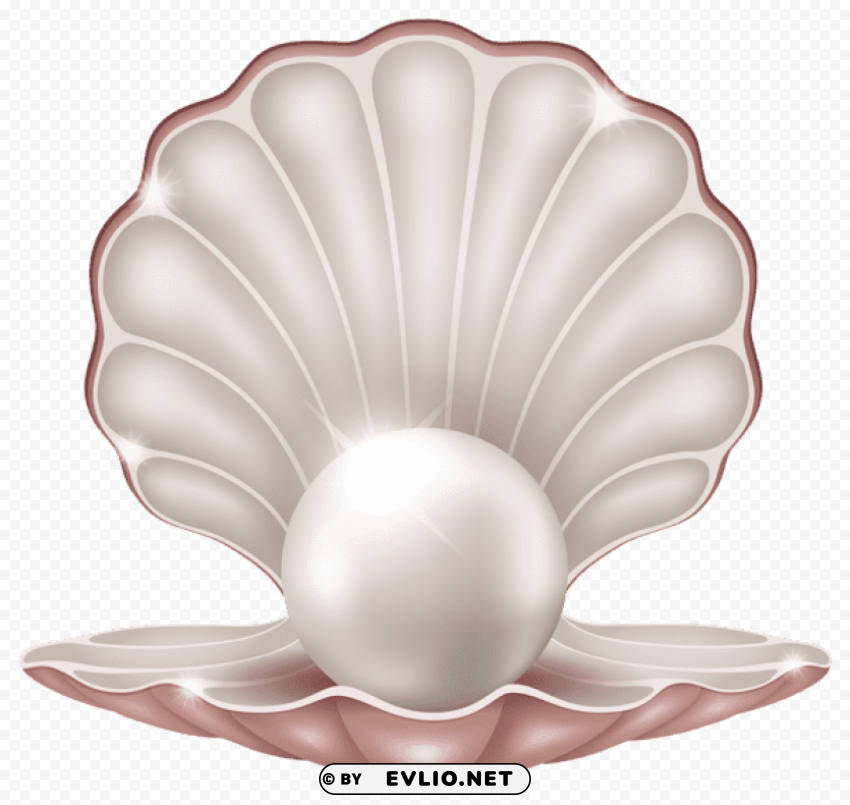 beautiful clam with pearl PNG with alpha channel