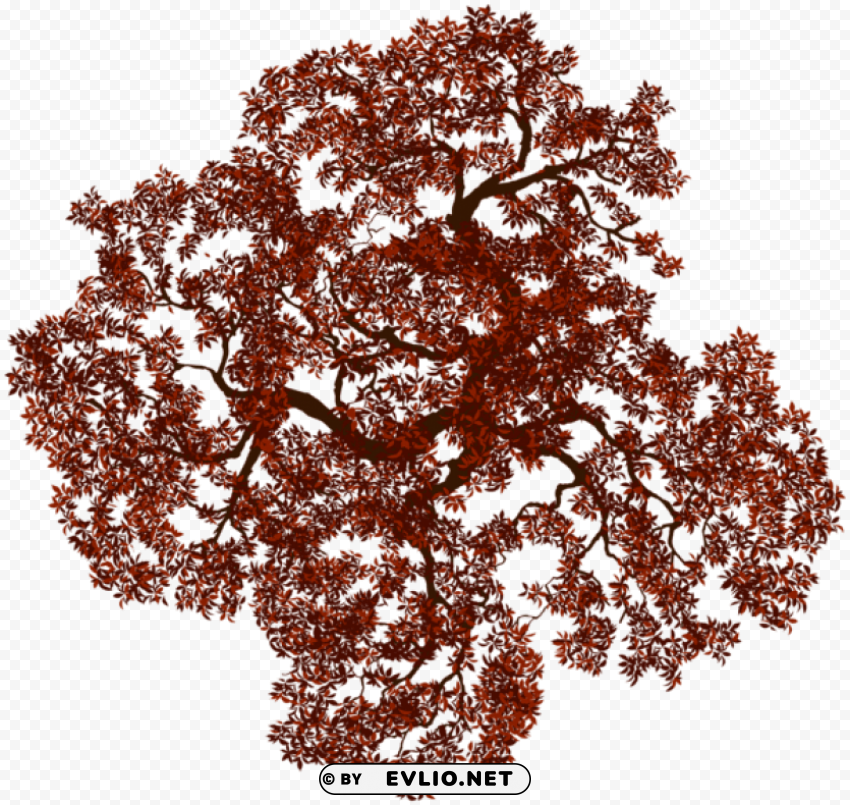 fall tree Transparent background PNG images selection