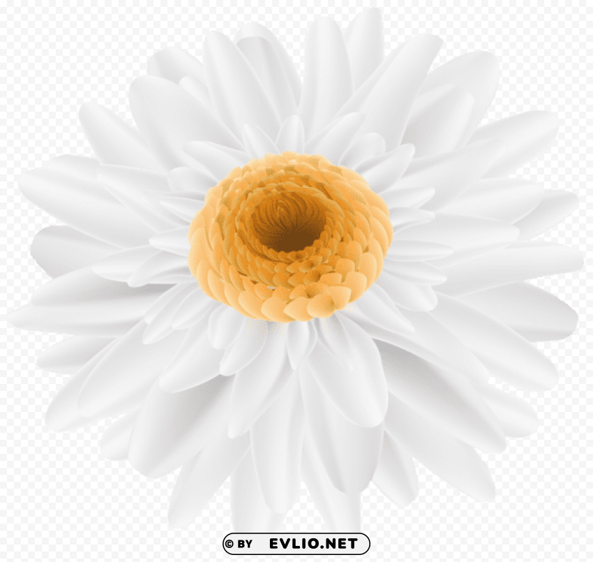 PNG image of flower white Isolated Element in Transparent PNG with a clear background - Image ID bcc39782