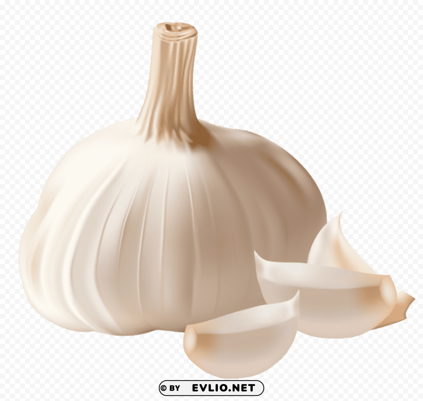 garlic PNG files with transparent backdrop