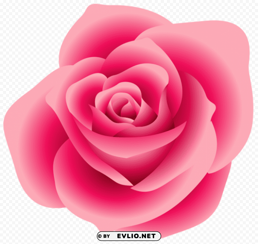 PNG image of large pink rose PNG transparency images with a clear background - Image ID bf03945d