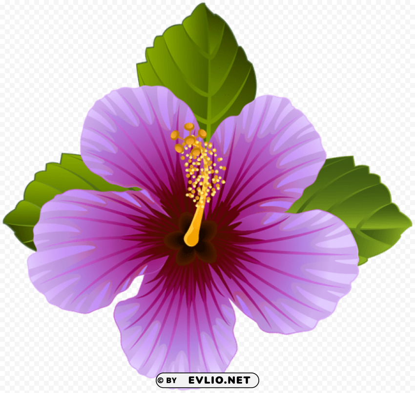 Purple Flower Isolated Item In HighQuality Transparent PNG