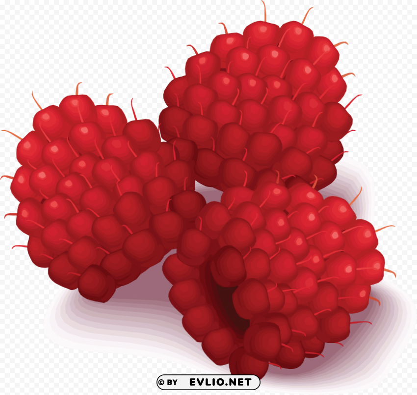 Raspberry Free PNG Images With Clear Backdrop