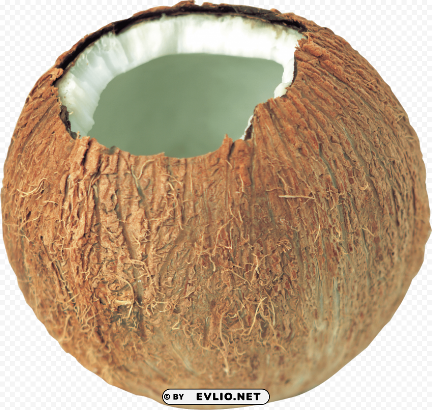coconut Transparent Cutout PNG Isolated Element