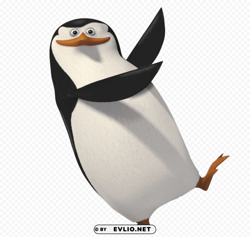 madagascar penguin Transparent PNG Isolated Item with Detail