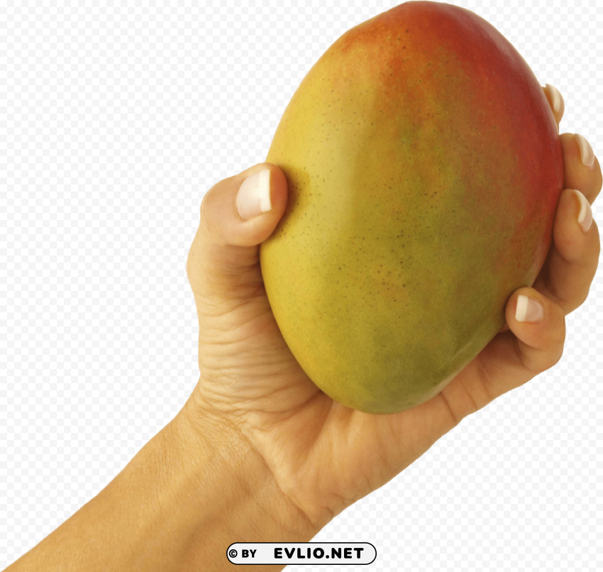 mango with hand PNG pics with alpha channel