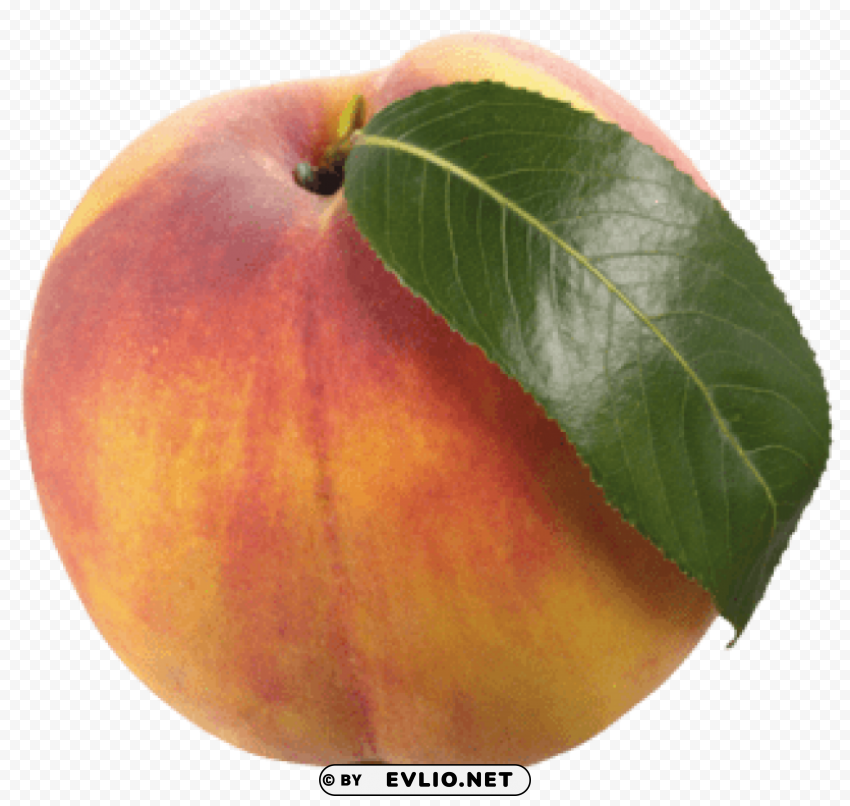 peach with leaf Isolated Icon on Transparent PNG