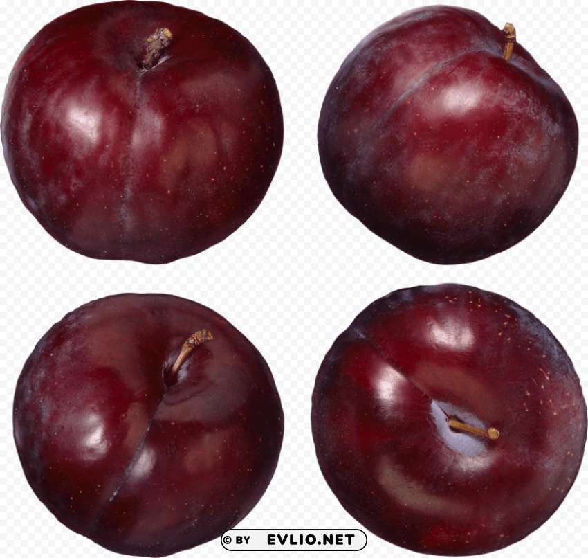 plum Isolated Graphic in Transparent PNG Format