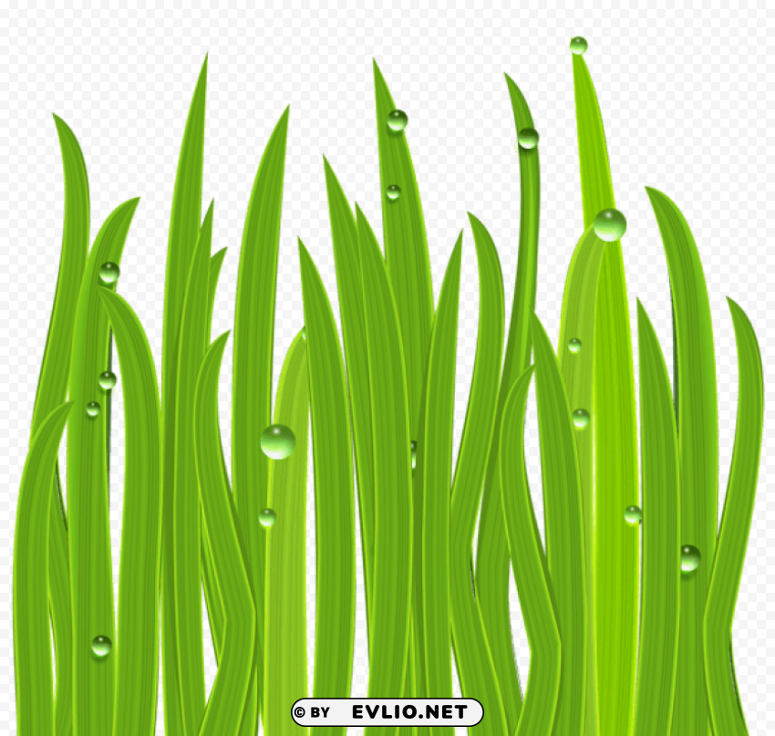 grass decor Isolated Subject in Clear Transparent PNG