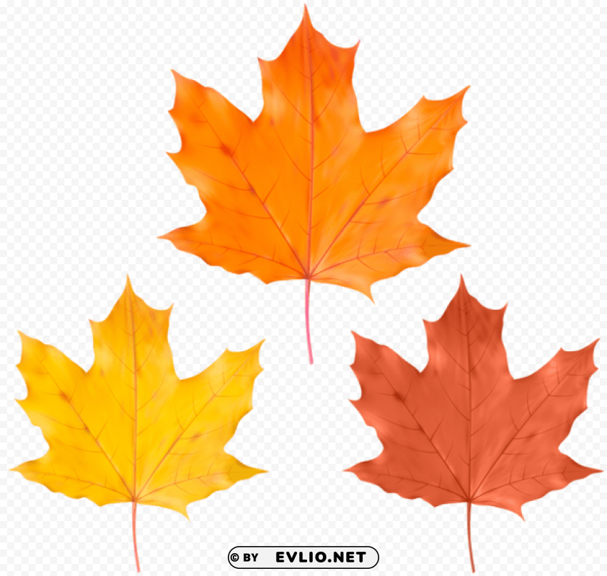 set fall leaves Transparent PNG Isolated Object