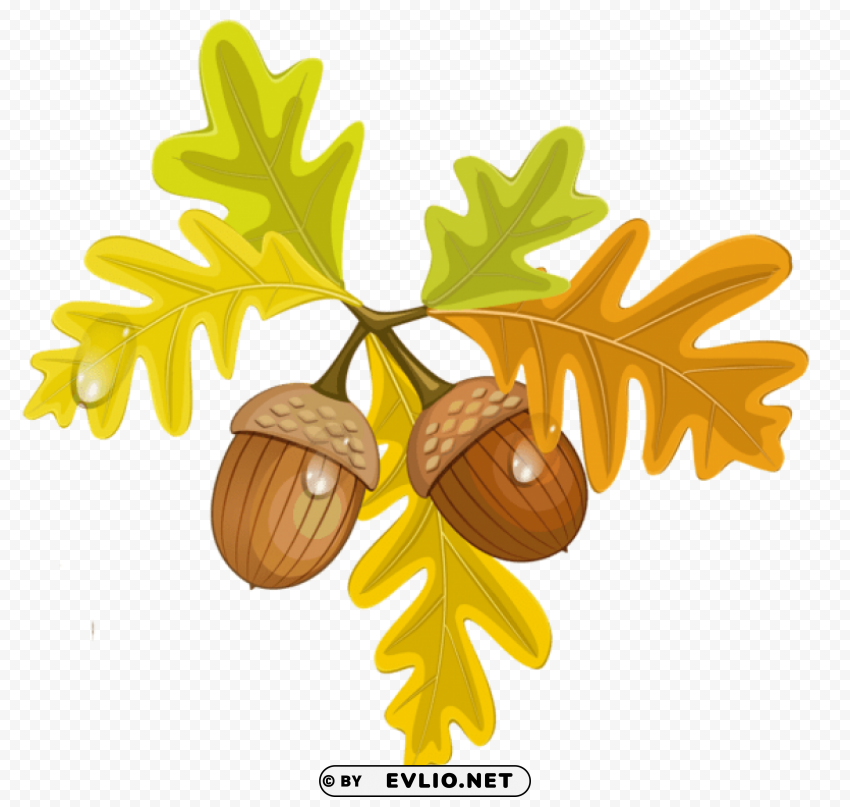 transparent fall leaves with acorns Clear Background PNG Isolated Graphic