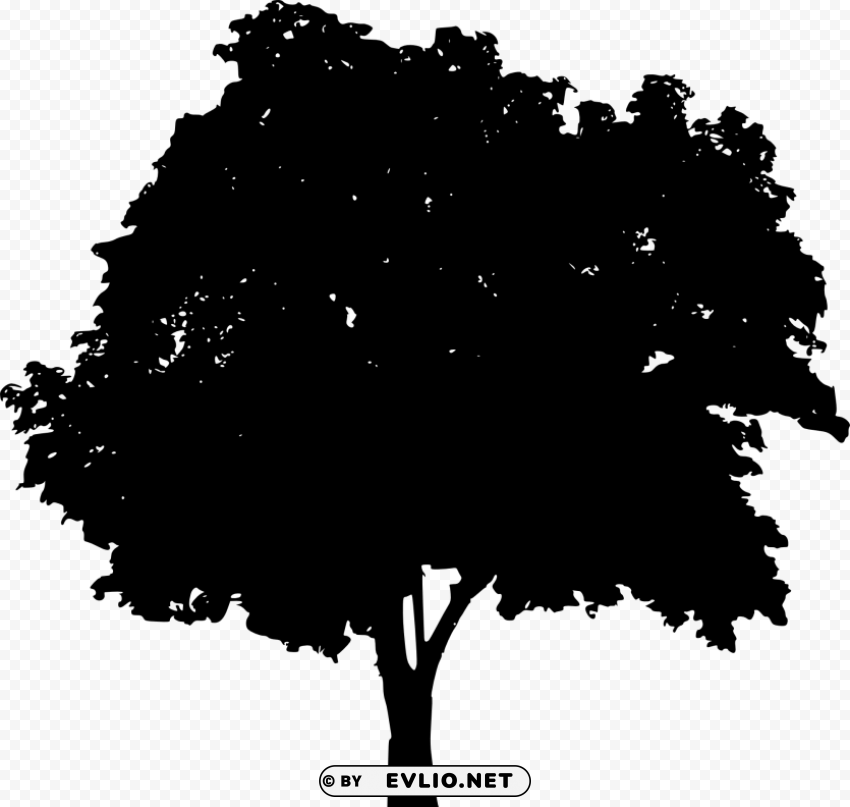 tree silhouette Isolated Subject with Transparent PNG