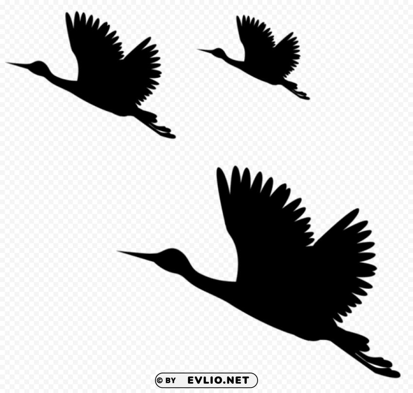 birds silhouettes Isolated Artwork on Clear Transparent PNG