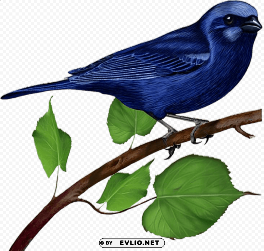 blue bird on branch Free PNG images with alpha channel