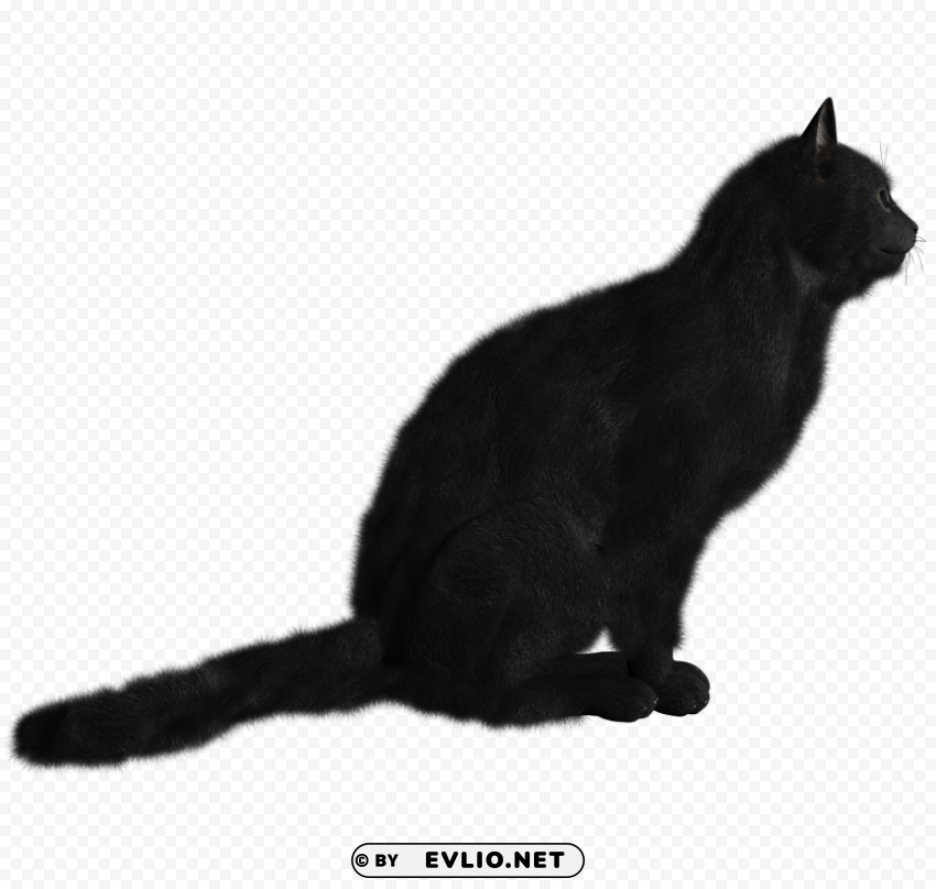 Cat PNG Clipart With Transparent Background