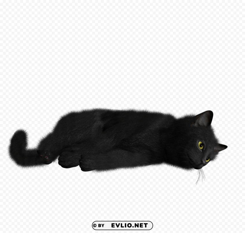cat PNG download free png images background - Image ID 0ab198d9
