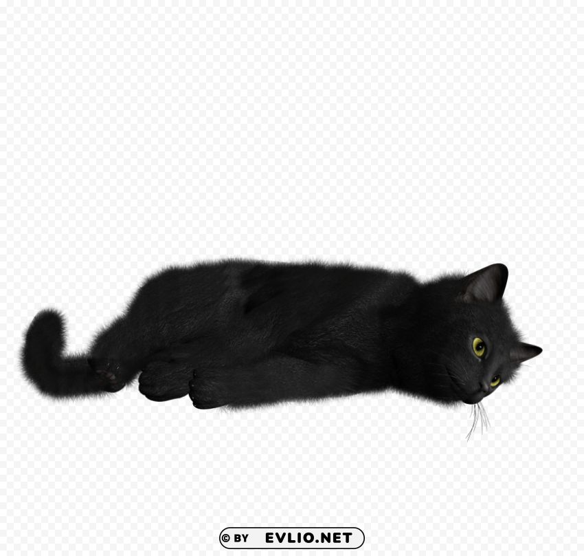 Cat PNG Download Free