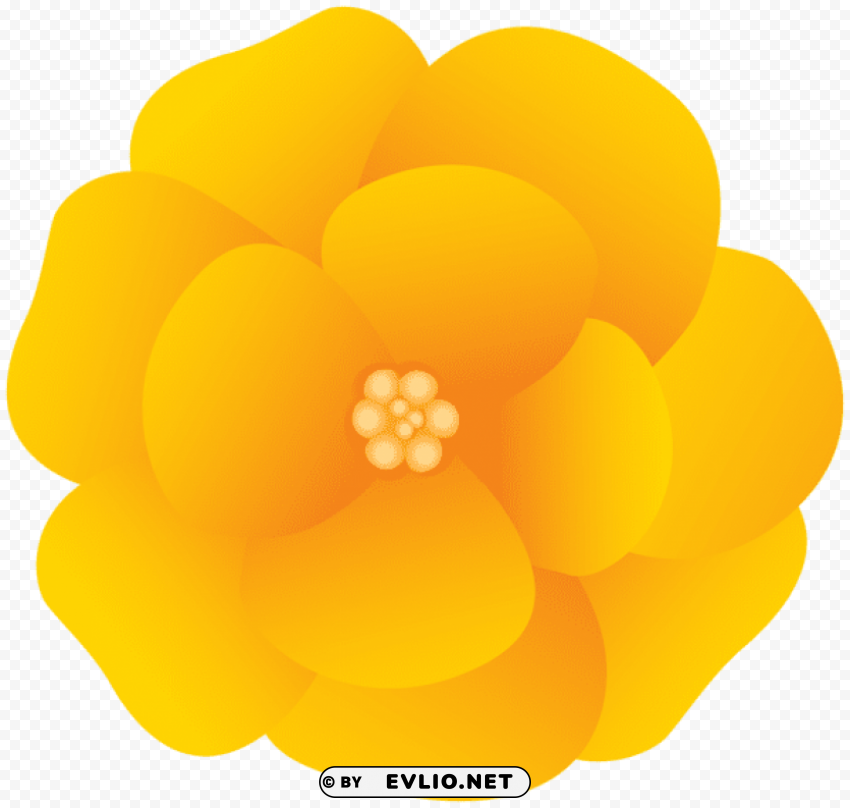 flower yellow PNG graphics with clear alpha channel broad selection