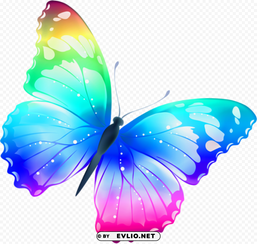 large transparent multi color butterfly HighResolution PNG Isolated Artwork clipart png photo - 960d2652