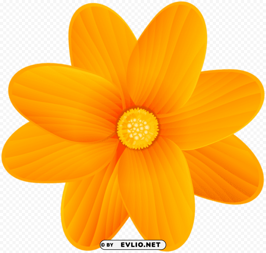 PNG image of orange flower PNG with clear background extensive compilation with a clear background - Image ID fbb59b11