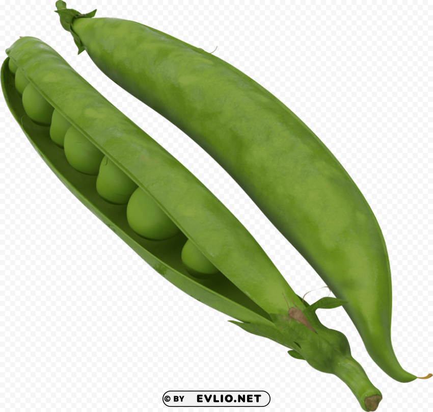 pea Isolated Subject on HighQuality PNG