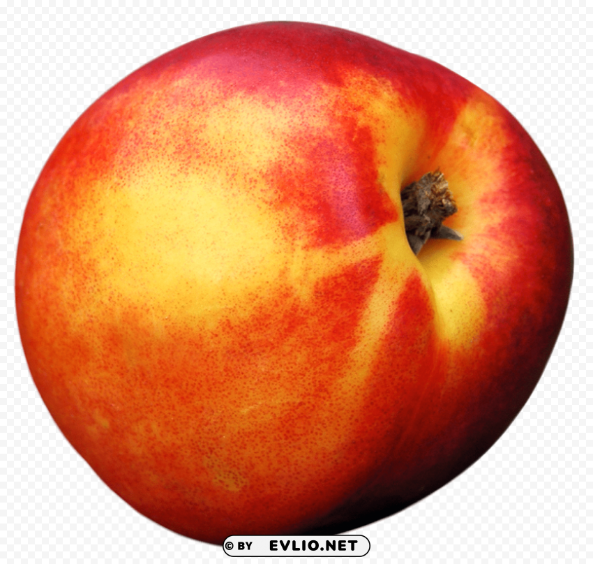 peach fruit PNG transparent images for printing