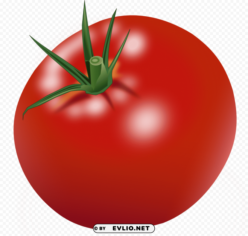 red tomatoes Isolated Element with Clear PNG Background