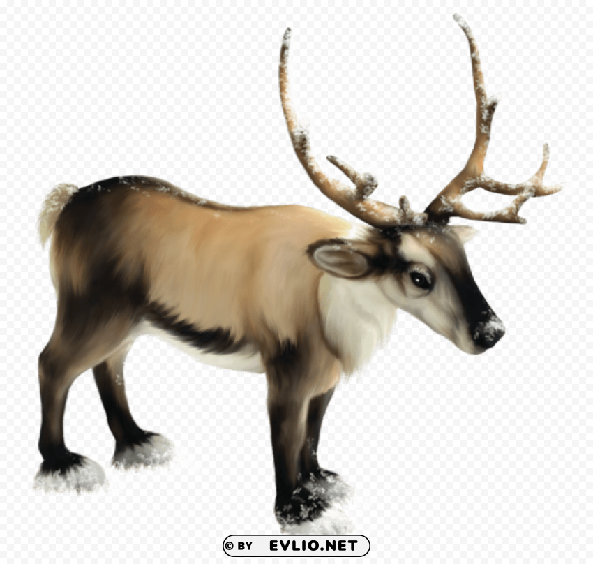reindeer PNG files with clear background variety