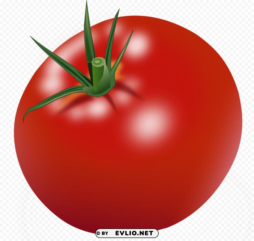 tomato PNG with transparent background free PNG images with transparent backgrounds - Image ID 3371ae39