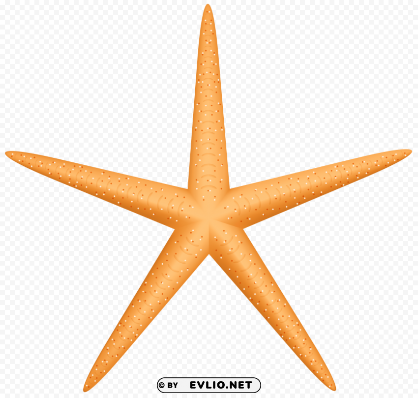 yellow starfish Free PNG images with alpha transparency