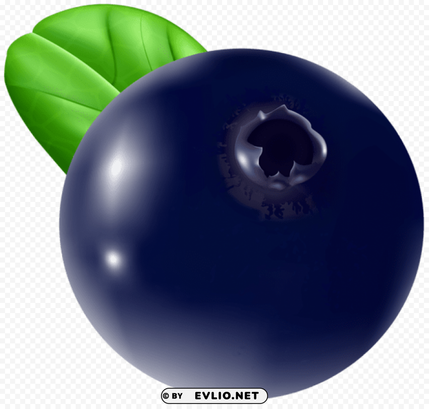 Blueberry Free Transparent PNG