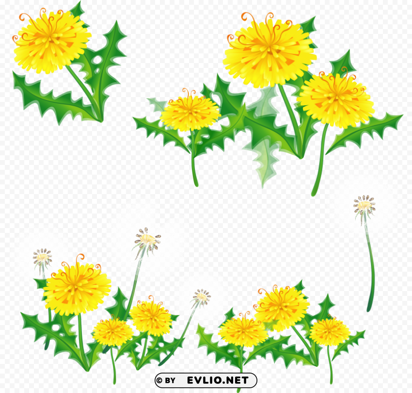 dandelion ClearCut Background PNG Isolated Subject