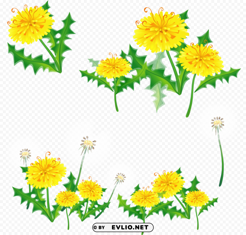 Dandelion ClearCut Background PNG Isolated Subject